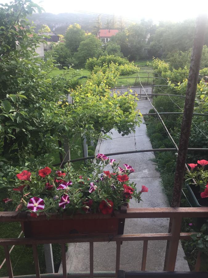 Apartman Lili Cetinje Extérieur photo